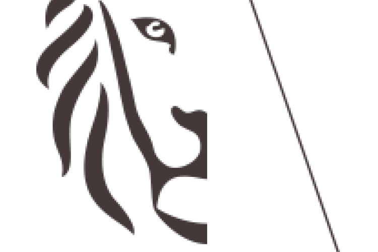 logo-vlaanderen